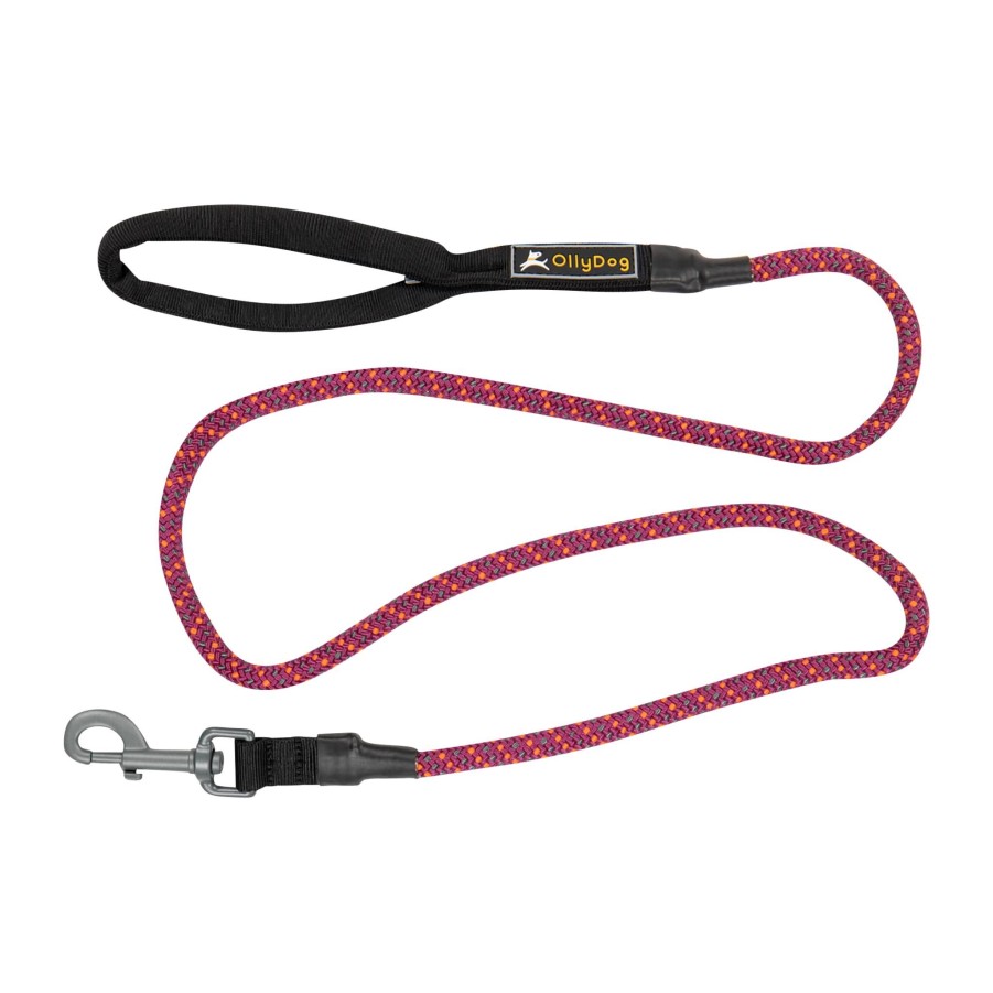 Jakt Og Tur OllyDog Hundeutstyr | Mountain Leash Wildaster, Hundeband